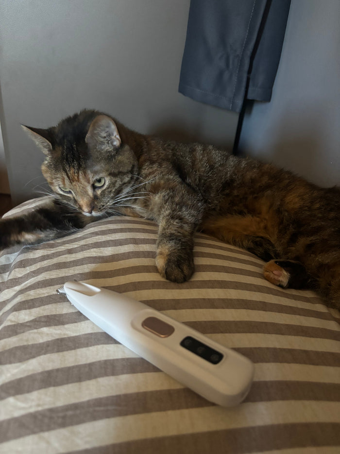 Logan's photo of the Pawmute trimmer
