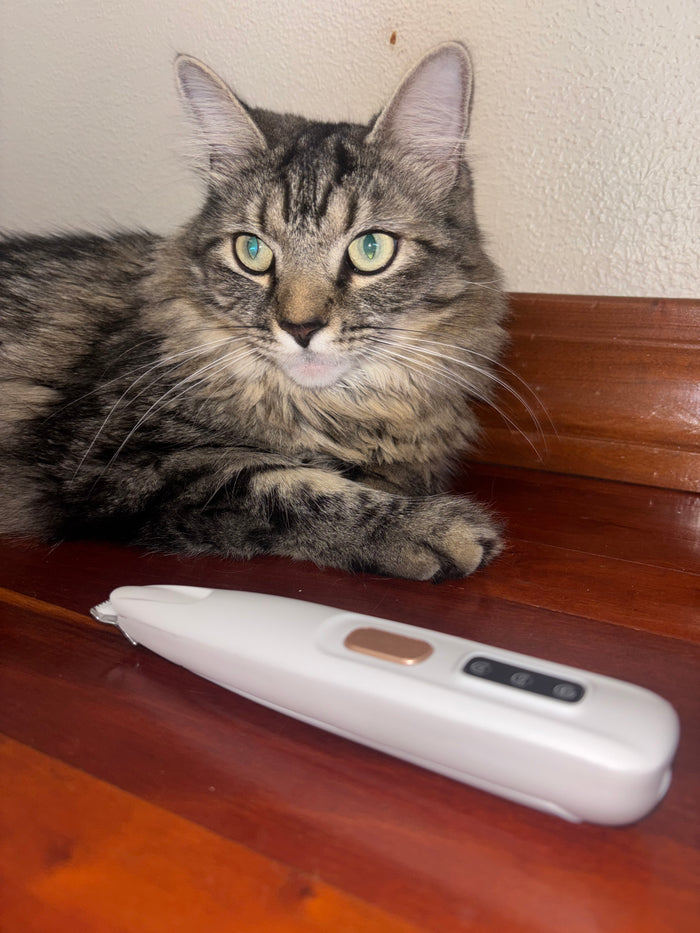 Cayden B's photo of the Pawmute trimmer